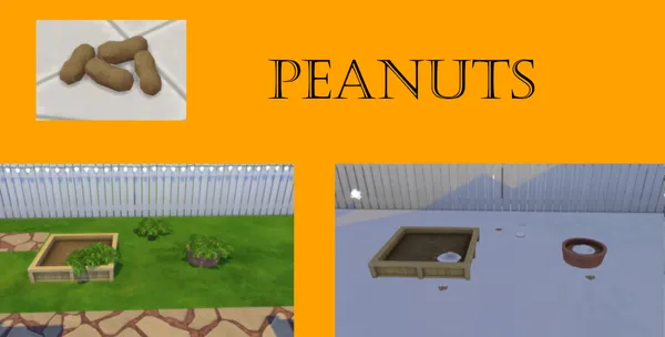 Peanut Harvestable